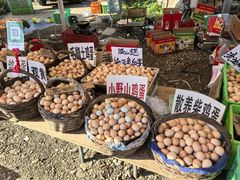 -示范集贸市场