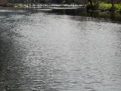 -贵阳市花溪国家城市湿地公园