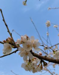 -玄武湖景区-情侣园游乐场