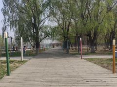 -长白岛森林公园