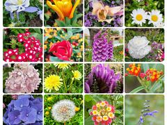 -上海滨江森林公园