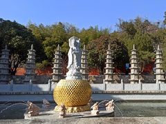 -泰山风景名胜区-普照寺