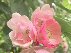 -大妙火锅·非物质文化遗产(东湖公园店)