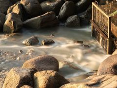 -上海吴淞炮台湾国家湿地公园