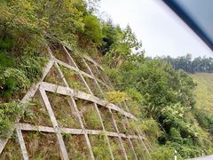 -大围山国家森林公园