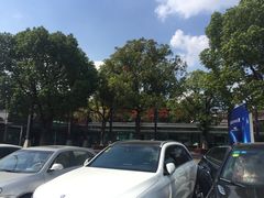 -荷塘月色湿地公园·向阳花洲