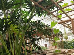 -兰陵国家农业公园