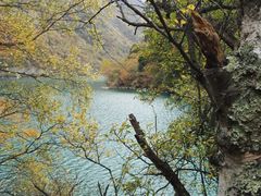 -叠溪松坪沟景区