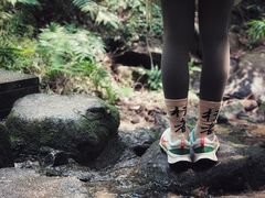 -火炉山森林公园