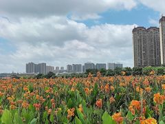 -那考河湿地公园