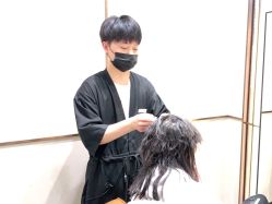 -崇尚GAVIN STYLE臻选