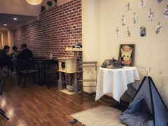 -猫友咖啡店(玉林西路店)