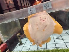 -荣小馆(安达仕店)