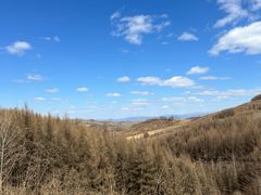 -亚布力新体委滑雪场