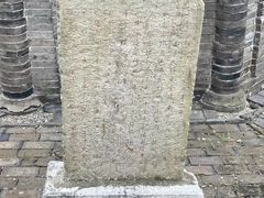 -上海佘山国家森林公园天马山园