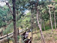 -北京十三陵国家森林公园蟒山景区