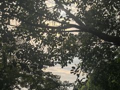 -青礁慈济宫