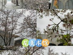 -龙美术馆(西岸馆)