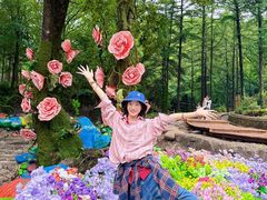 -洛阳白云山景区