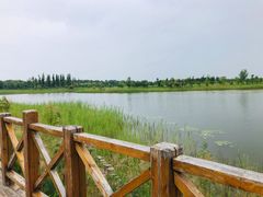 -野鸭湖国家湿地公园