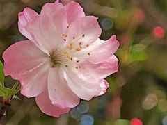 -厨创东北传家菜(信义坊店)