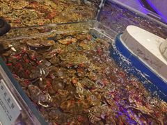 -澜悦港海鲜体验主题餐厅