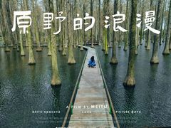 -渌洋湖湿地公园