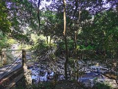-石台牯牛降景区