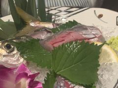 -芥岛(河北大街店)