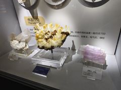 -湖南省地质博物馆