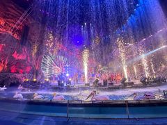 -广州长隆国际大马戏