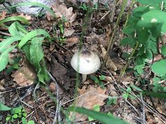 -沈阳辉山风景区