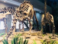-自贡恐龙博物馆