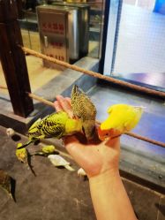 -酷嗒动物文化乐园(cutezoo西溪乐天城店)