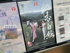 -霸王茶姬(长沙湖南大学登高路店)