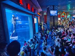 -太平洋海底世界