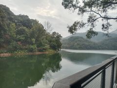 -广州市白云山风景名胜区