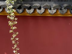 -苏州文庙(姑苏区)