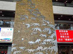 -浙江大学医学院附属邵逸夫医院(钱塘院区)