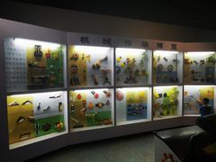 -陕西自然博物馆