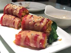 -南枝记