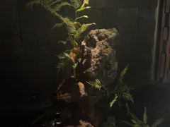 -泰之源足浴会所(玉环店)