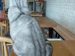 -平行世界·猫咖(首经贸店)