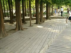 android_upload_pic-八大关景区