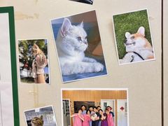 -爱妮康宠物医院·干细胞免疫细胞·肿瘤·心脏(张江店)