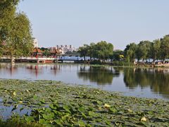 -长春市南湖公园