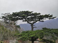 -圣莲山风景区
