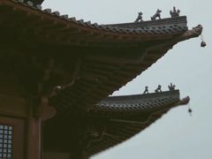 -杭州半山国家森林公园