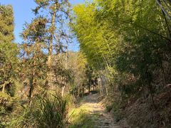-仙霞关景区