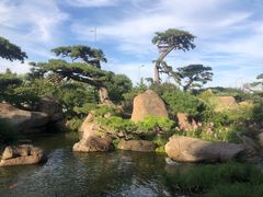 -罗红摄影艺术馆